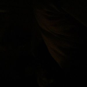 Meet your Posher, Lana